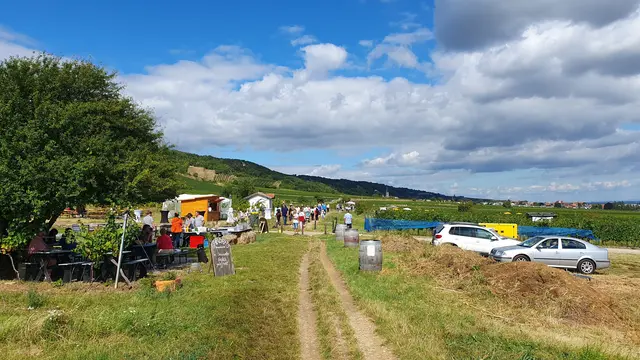 Foto: Philipp Steinriegler