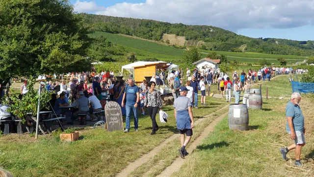 Foto: Philipp Steinriegler