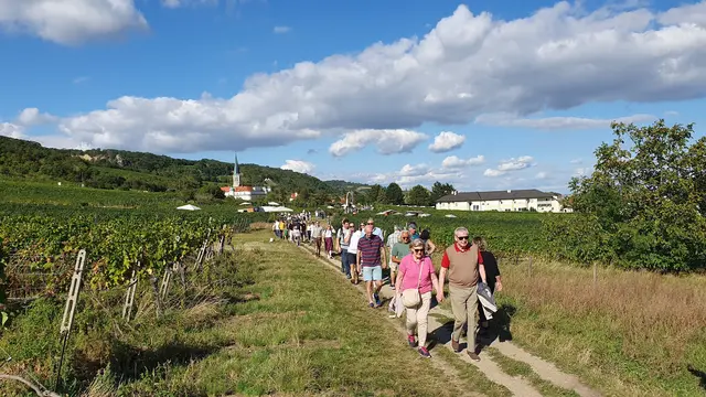 Es ist einiges los | Foto: Philipp Steinriegler