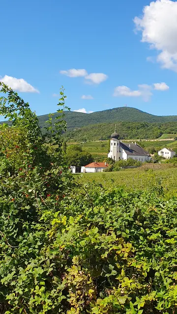 Foto: Philipp Steinriegler