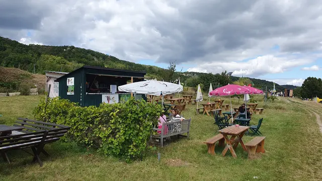 Foto: Philipp Steinriegler