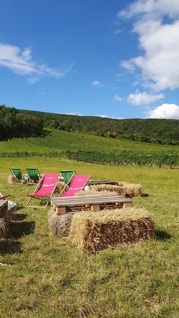 Foto: Philipp Steinriegler