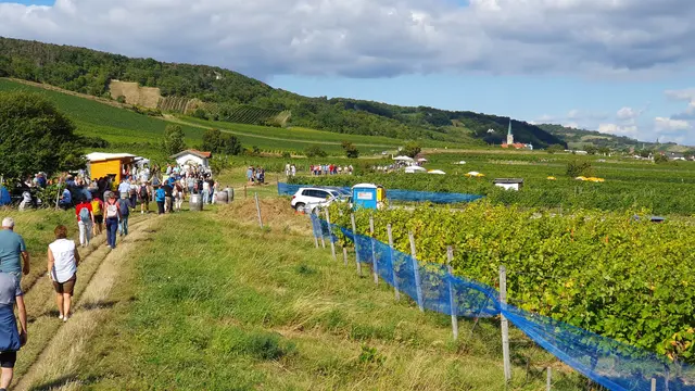 Foto: Philipp Steinriegler