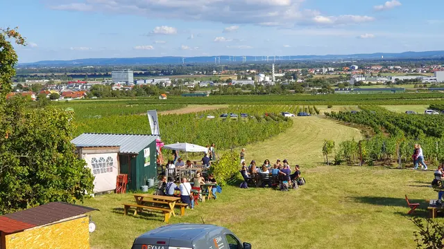 Foto: Philipp Steinriegler