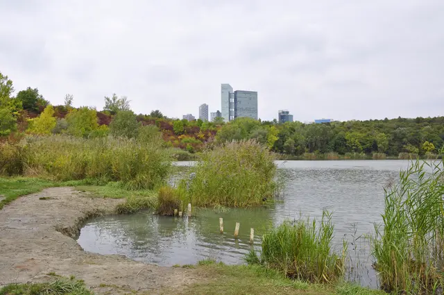 Ein Mann soll das Baby im Kinderwagen zurückgelassen haben.  | Foto: Willfried Gredler-Oxenbauer / picturedesk.com