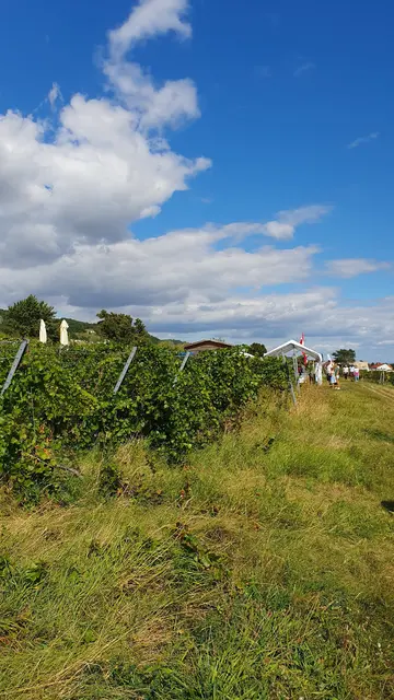 Foto: Philipp Steinriegler