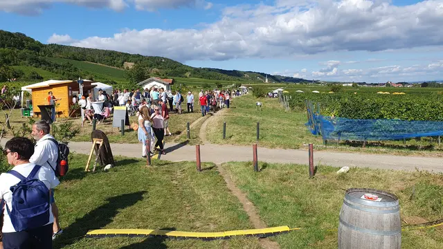 Foto: Philipp Steinriegler