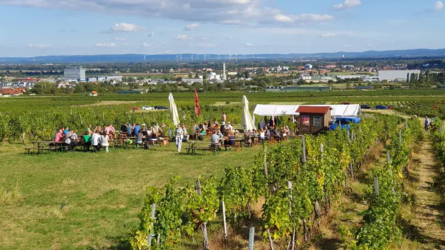 Foto: Philipp Steinriegler