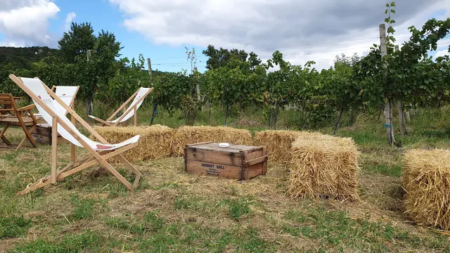 Foto: Philipp Steinriegler