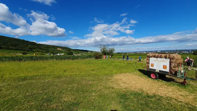 Foto: Philipp Steinriegler