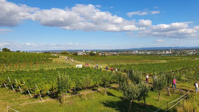 Foto: Philipp Steinriegler