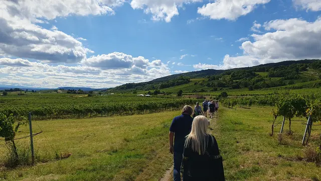 Foto: Philipp Steinriegler