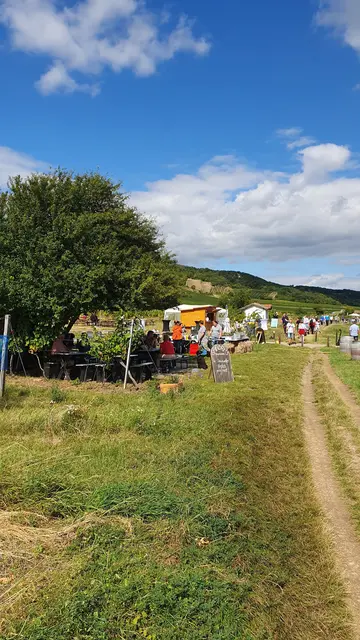 Foto: Philipp Steinriegler