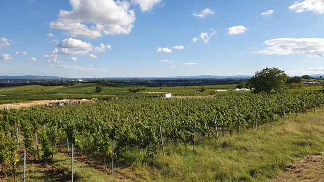 Foto: Philipp Steinriegler