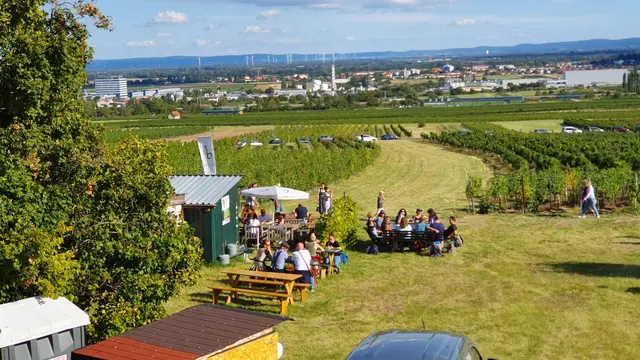 Foto: Philipp Steinriegler