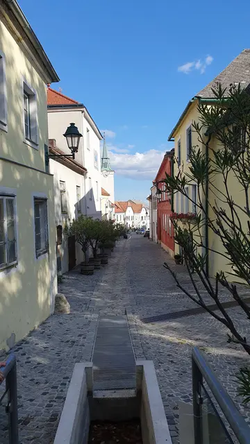 Foto: Philipp Steinriegler