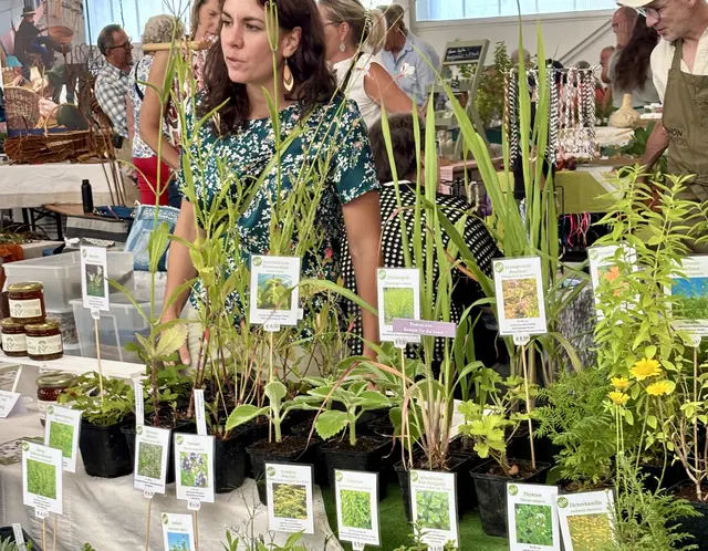 Premiere des Herbstzauber & Wintergrün-Marktes in Feldbach | Foto: MeinBezirk/Gerda Sammer-Schmidt