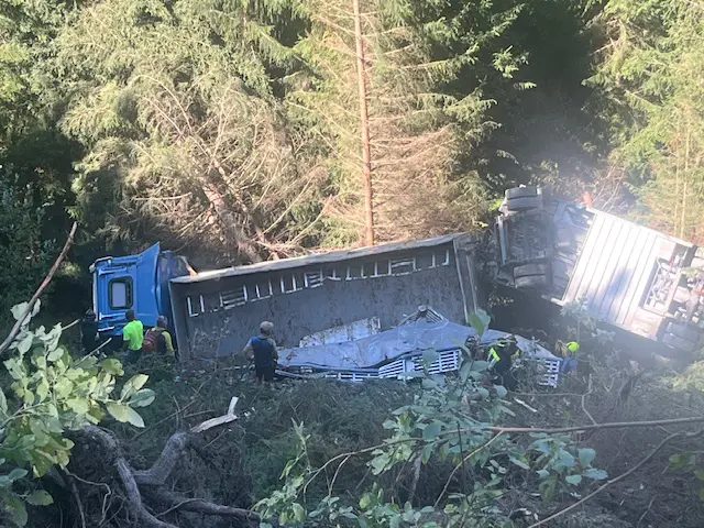 Die Feuerwehr sicherte das Gelände, um ein Abrutschen weiterer Tiere zu verhindern. | Foto: ZOOM.Tirol