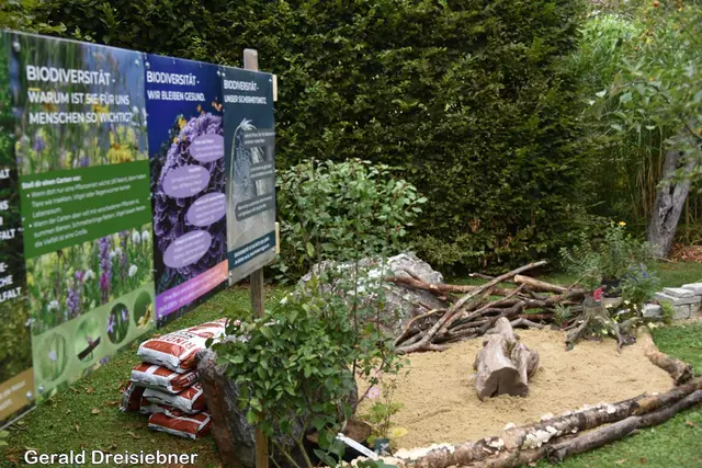 Foto: Gerald Dreisieber