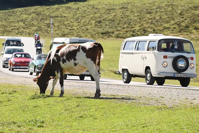 Foto: Wolfgang Spitzbart