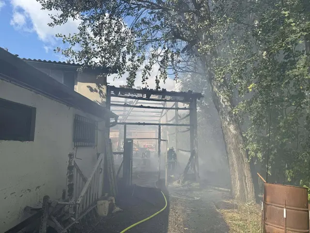 Ein Übergreifen der Flammen auf andere Gebäude wurde verhuindert. | Foto: FF Klosterneuburg