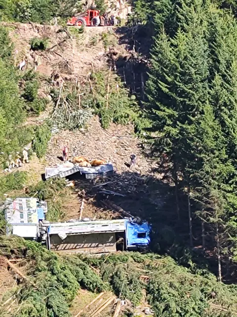 Der Unfall löste einen Großeinsatz von Feuerwehr, Bergrettung und Polizei aus. | Foto: ZOOM.Tirol
