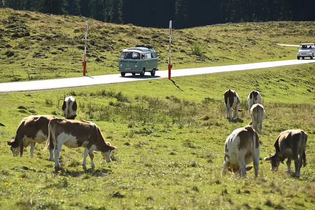 Foto: Wolfgang Spitzbart