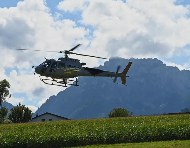 Foto: Wilfried Fischer