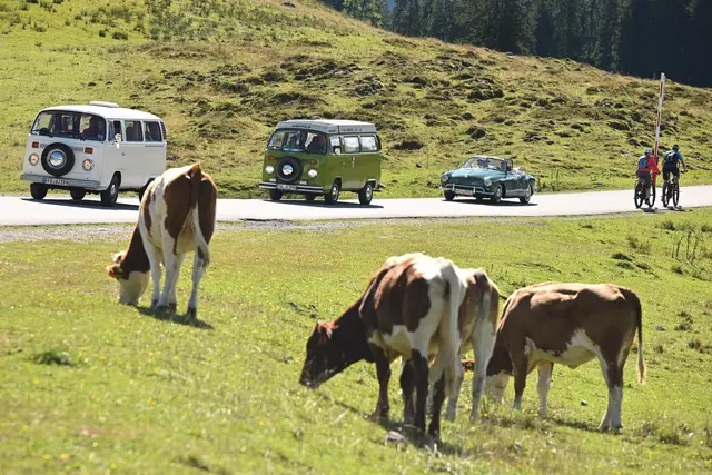 Foto: Wolfgang Spitzbart