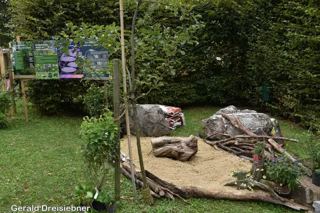 Foto: Gerald Dreisieber
