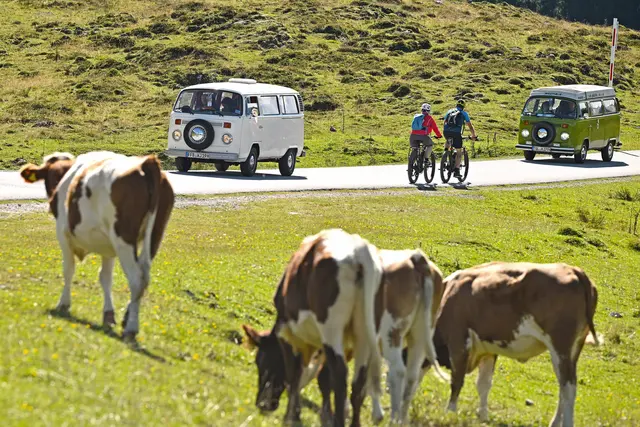 Foto: Wolfgang Spitzbart