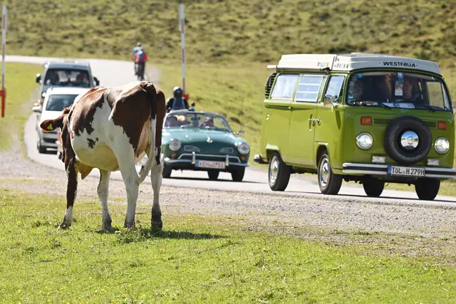 Foto: Wolfgang Spitzbart