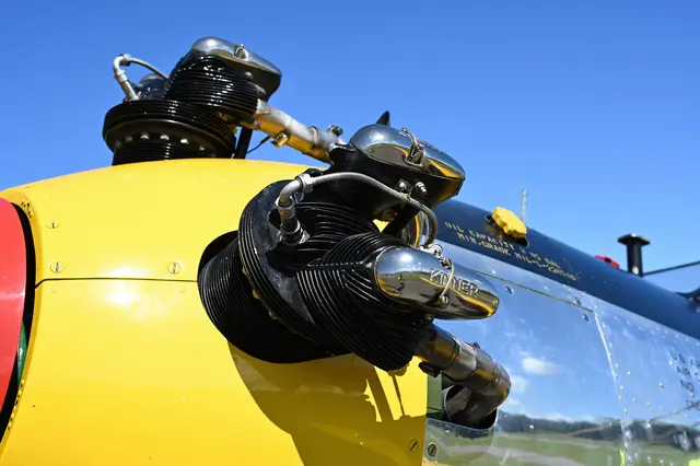 Foto: Wilfried Fischer