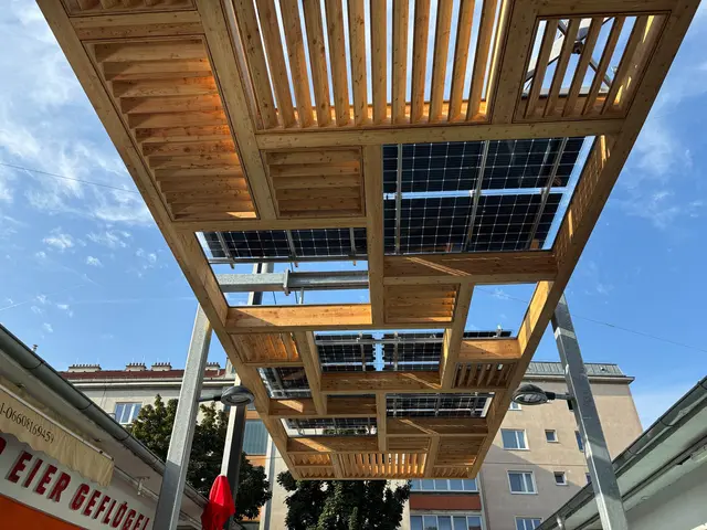 Die Photovoltaik-Module können bis zu 4,8 kWp liefern, der Strom wird direkt für die Beleuchtung des Marktes verwendet. | Foto: Andreas Pölzl/MeinBezirk