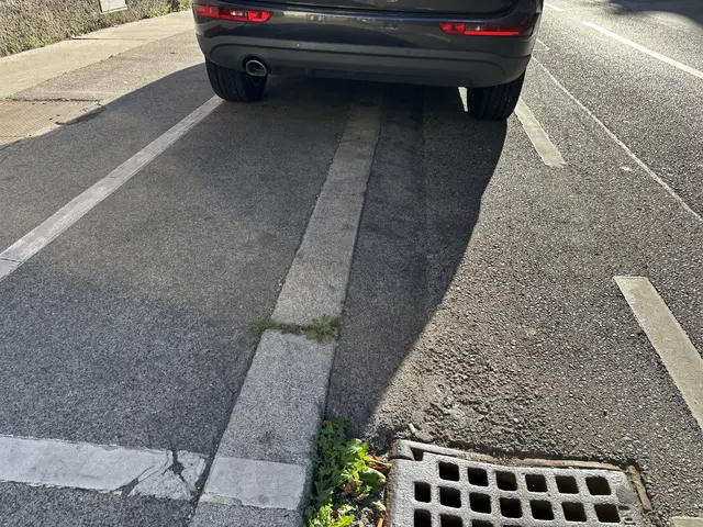 Für Autoparkplätze sind auf der Arndtstraße teilweise die geneigten Bordsteine vorhanden. | Foto: Michael Marbacher/MeinBezirk