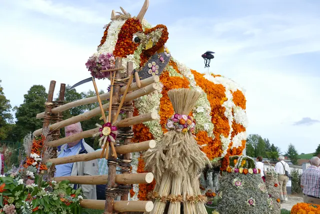 Foto: MeinBezirk/Franz Putz