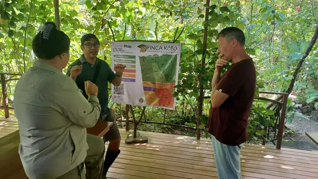 Auf den Kakao-Plantagen lernte die Familie Spiegel wie Kakaobohnen geerntet werden. | Foto: Spiegel