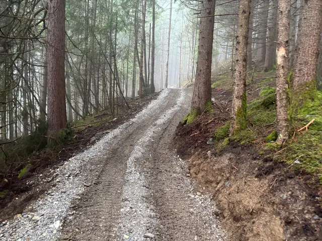 Der "kinderwagentaugliche" Ausbau vieler Stubaier Wege gefällt nicht allen. "Lasst unsere Wege wild – für Kinder, Natur und Heimat!", fordern nun einige Mütter. Sie haben eine Online-Petition zum Erhalt des Schanzlinsteigs gestartet. | Foto: Kainz