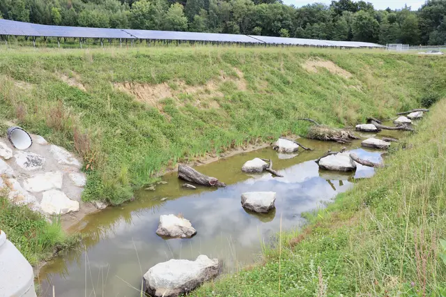 Die Retensionsbecken schützen vor Hochwasser und sind gleichzeitig Lebensraum für Flora und Fauna. | Foto: Alfred Mayer