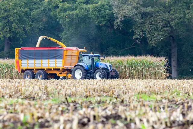 Der 48-Jährige aus dem Bezirk Graz-Umgebung war auf einem Feld mit Mais-Häcksel-Arbeiten beschäftigt, als sich der Unfall ereignete.  | Foto: Foto: panthermedia.net/Benschonewille