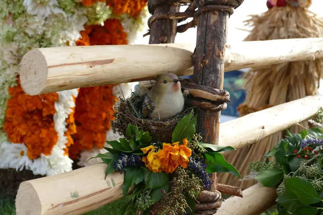 Foto: MeinBezirk/Franz Putz