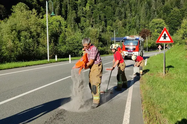 Foto: FF Pfarrwerfen