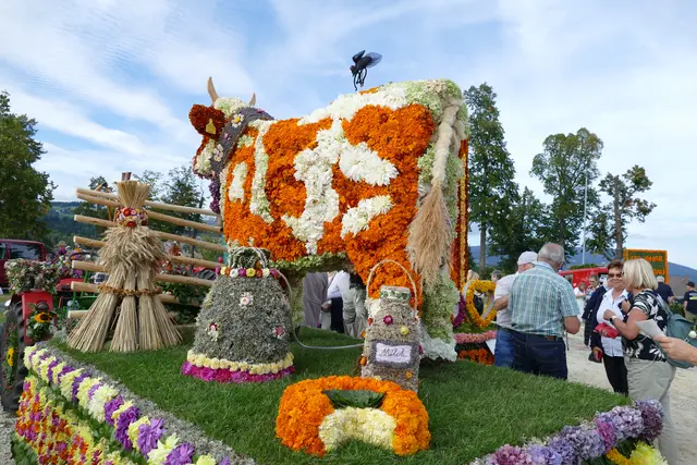 Foto: MeinBezirk/Franz Putz