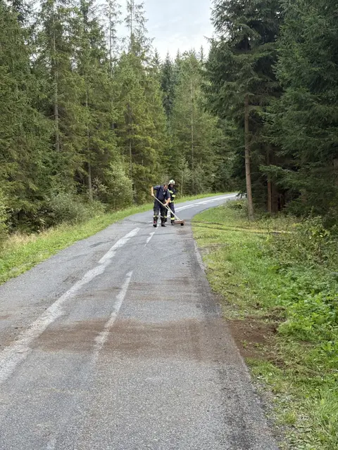 Foto: FF Pürstling/S. Wagner