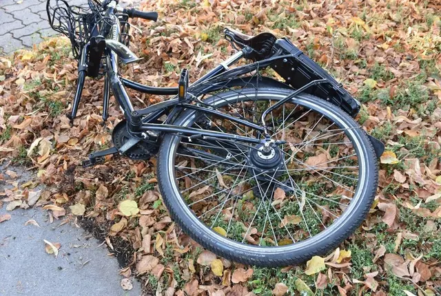Eine Radfahrerin befindet sich nach einem schweren Unfall mit einem Klein-Lkw in Lebensgefahr. | Foto: LPD Wien