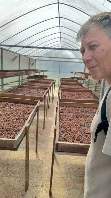 Edgar Spiegel lernte, wie Kakaobohnen auf den Kakao-Plantagen getrocknet werden.  | Foto: Spiegel