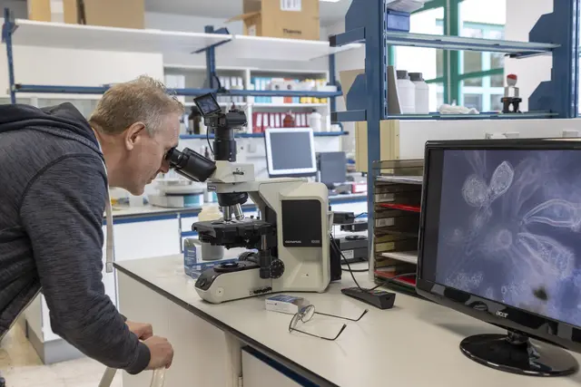 Foto: Andreas Kolarik