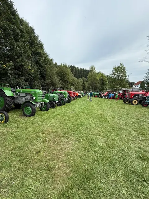Die Traktor-Oldtimer-Parade zog am Sonntag beim Birnkirta die Gäste an. | Foto: Michaela Keusch