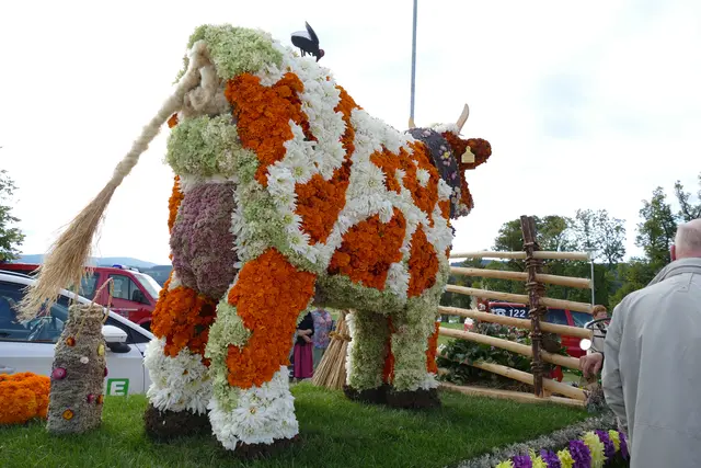 Foto: MeinBezirk/Franz Putz