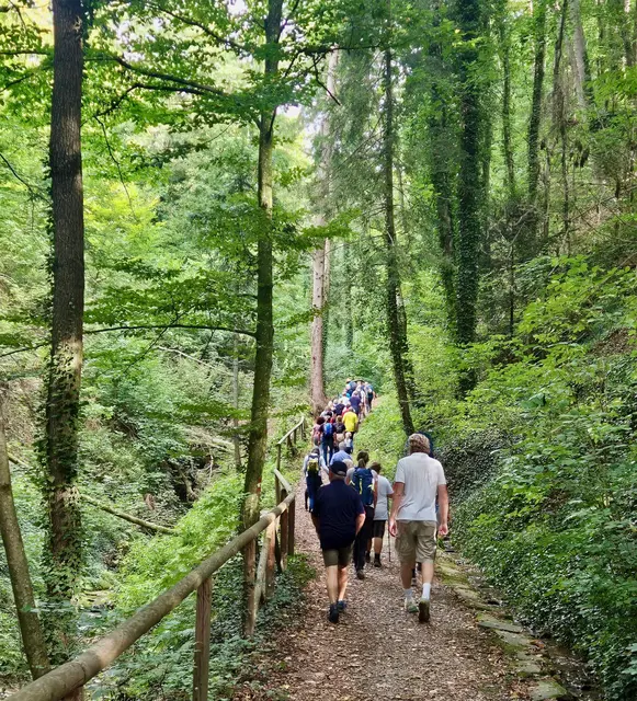 Der Weg führte auch durch die idyllische Hartberger Brühl. | Foto: Stadtmarketing Hartberg